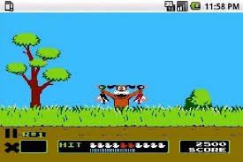 duck hunt